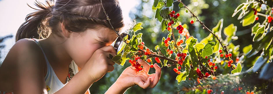 Kind betrachtet Beeren mit Lupe