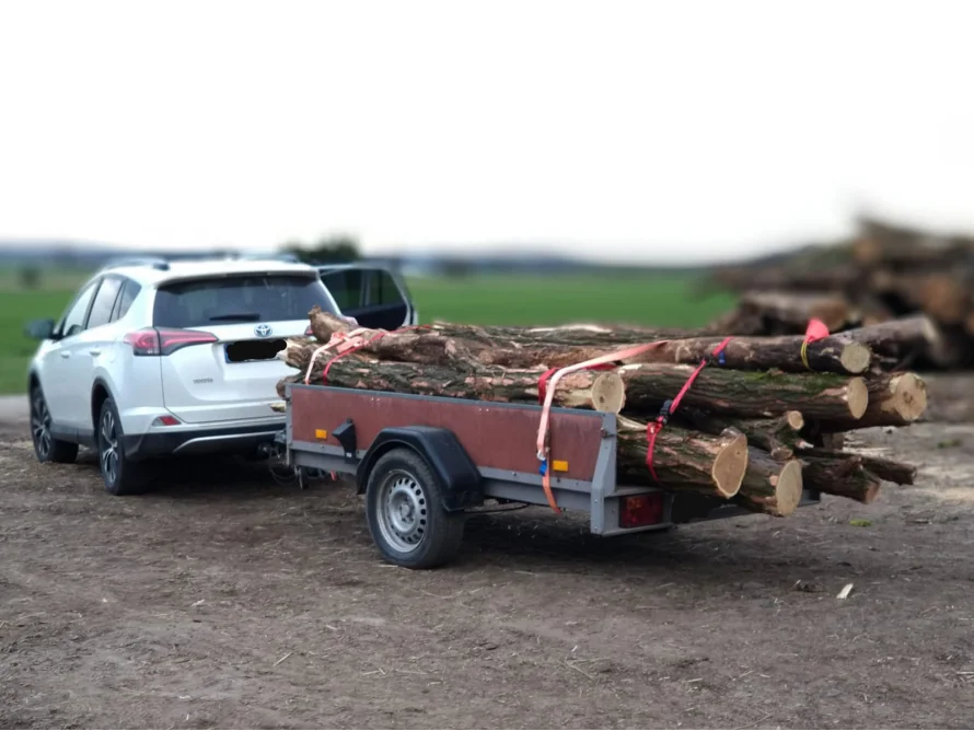 Ein SUV zieht einen Anhänger mit Baumstämmen.