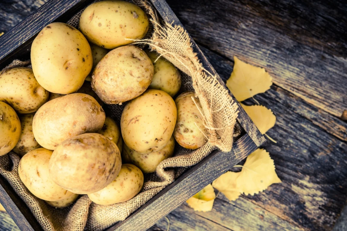 Kiste mit Kartoffeln