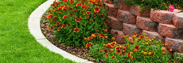 Geschwungene Rasenkante trennt Rasen von einem Blumenbeet mit Stützmauer.