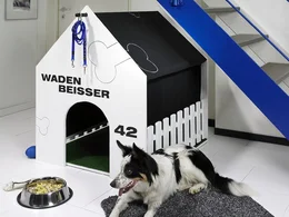 Hundehuette Wadenbeisser Ansicht