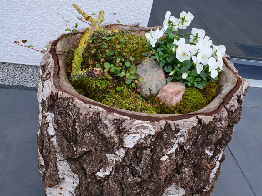 Blumentopf aus Baumstamm