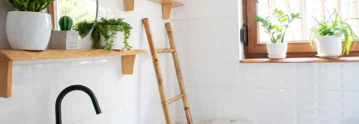 Helles Badezimmer mit Pflanzen