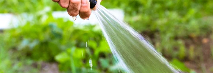 Hand hält Schlauch und bewässert Garten