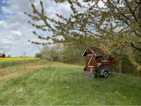 Rotes Holzhaus auf einer grünen Wiese