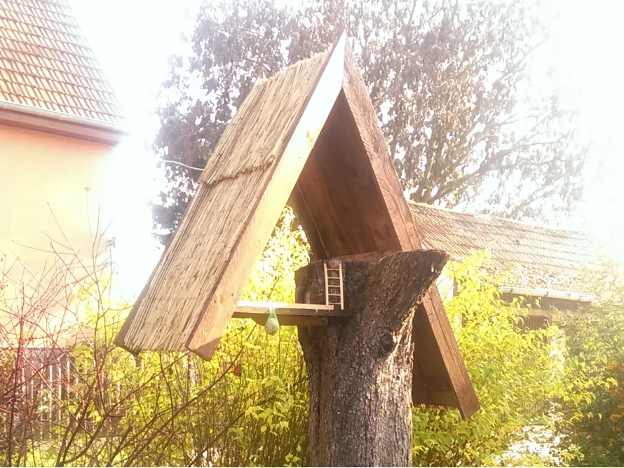 Vogelhaus auf Baumstamm