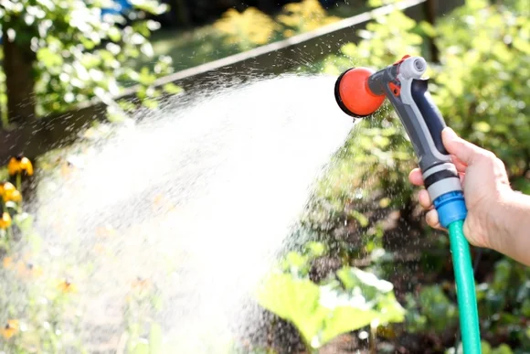 Hand gießt Pflanzen mit Gartenspritze