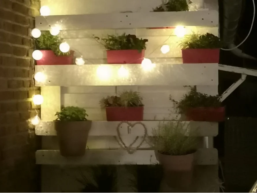 Vertikaler Garten mit Beleuchtung