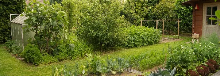 Gemüsebeete in einem Garten