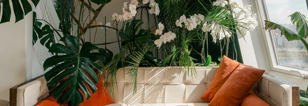 Ein weißes Sofa mit orangen Kissen und vielen Pflanzen