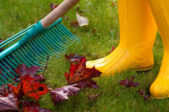 Gelbe Gummistiefel und ein Rechen im Herbstlaub.