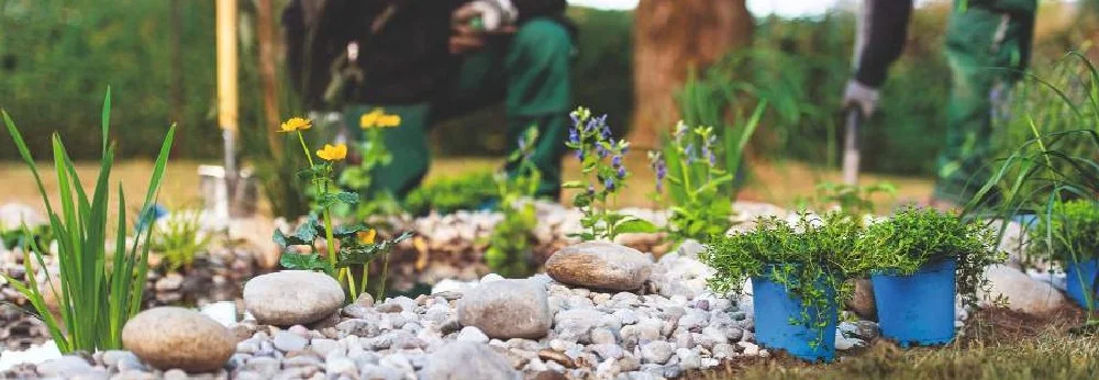 Gartenteich mit Pflanzen und Steinen